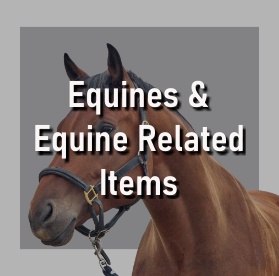 Equine Appraisals, Equine Appraiser