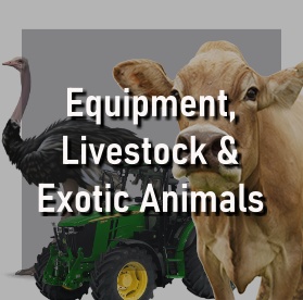 Livestock Appraisal, Livestock Appraiser, Marine Animal Appraiser, Exotic Animal Appraiser, Marine Animal Appraisal, Exotic Animal Appraisal, Animal Appraiser, Animal Appraisal